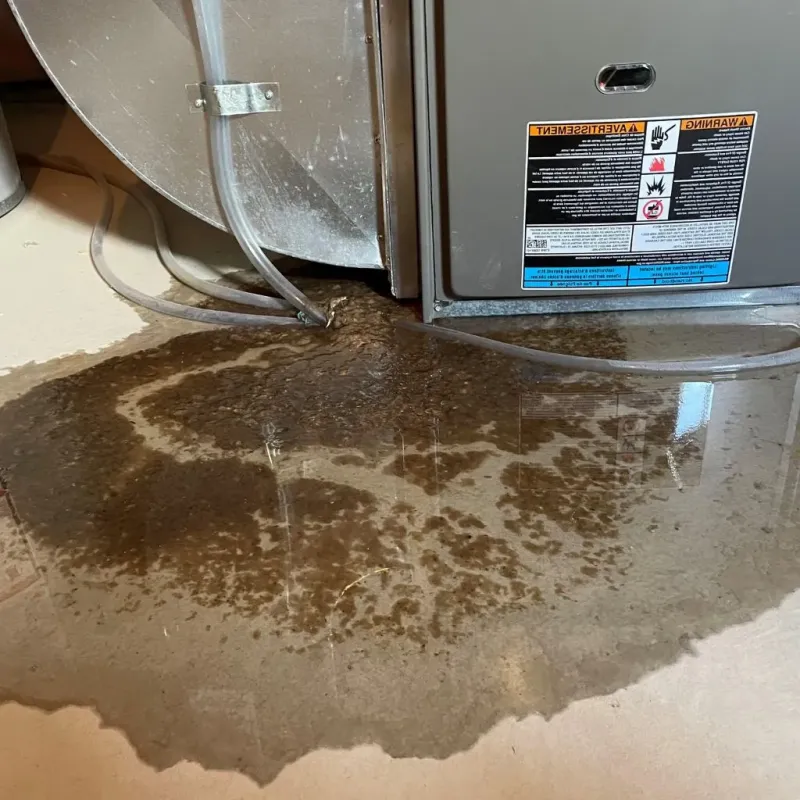 Pipe Burst and Leak Restoration in Bloomfield, KY