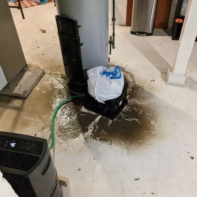 Sewage Backup Cleanup Service in Bloomfield, KY